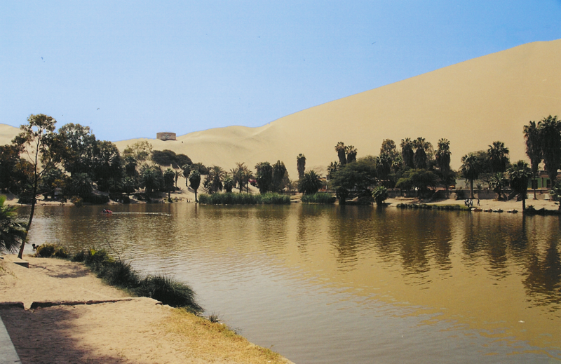 Oasis in the Heart:Haiku With Exposition 本 Oasis in the Heart